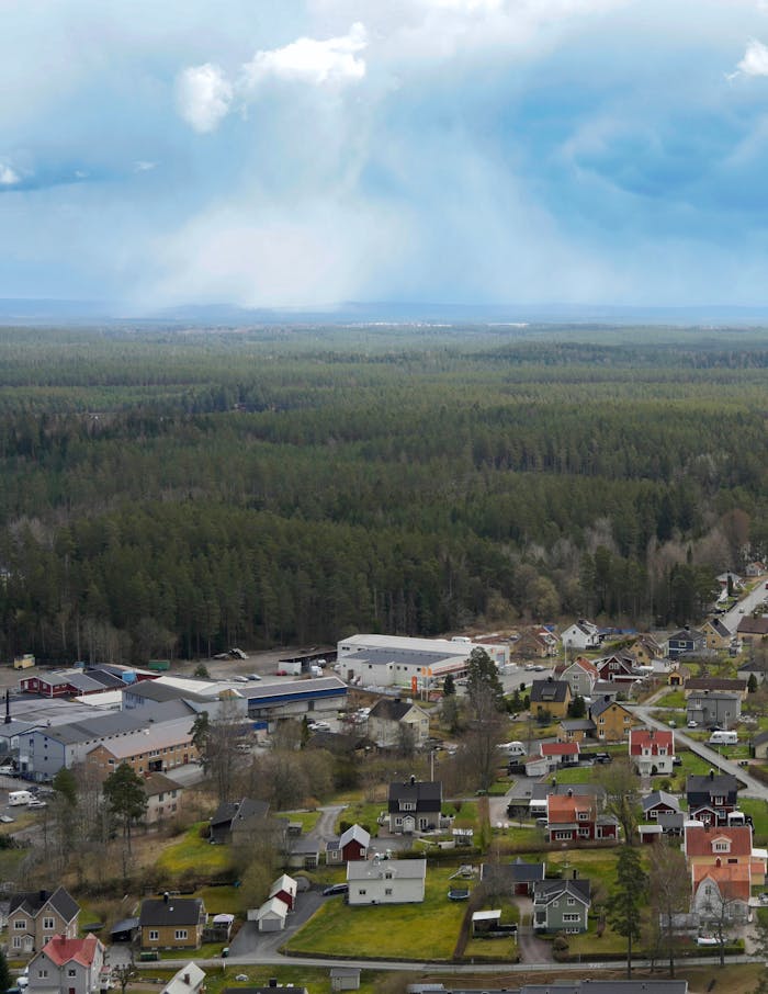 Overcast over Town in Forest